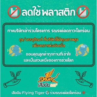 ถั่วลูกไก่ผ่าซีกดิบ 500 กรัม ตราเสือบิน | Split Chickpeas