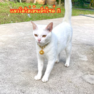 (G4)ปลอกคอสร้อย พร้อมกระดิ่ง สุดลักชู