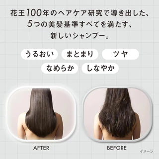 THE ANSWER Super Lamella Shampoo & Treatment (สำหรับความเสียหายในชีวิตประจำวัน / สำหรับความเสียหายจากความร้อน / สำหรับเสียหายจากสีผม)