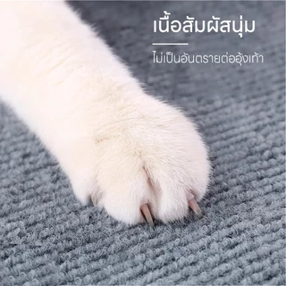 🐱พร้อมส่ง🐱 พรมลับเล็บแมว ที่ฝนเล็บ แบบติดผนัง พร้อมกาว กันรอยข่วนได้ดี แผ่นแมวปีน แผ่นกันข่วน มีทั้งหมด 4 ขนาด