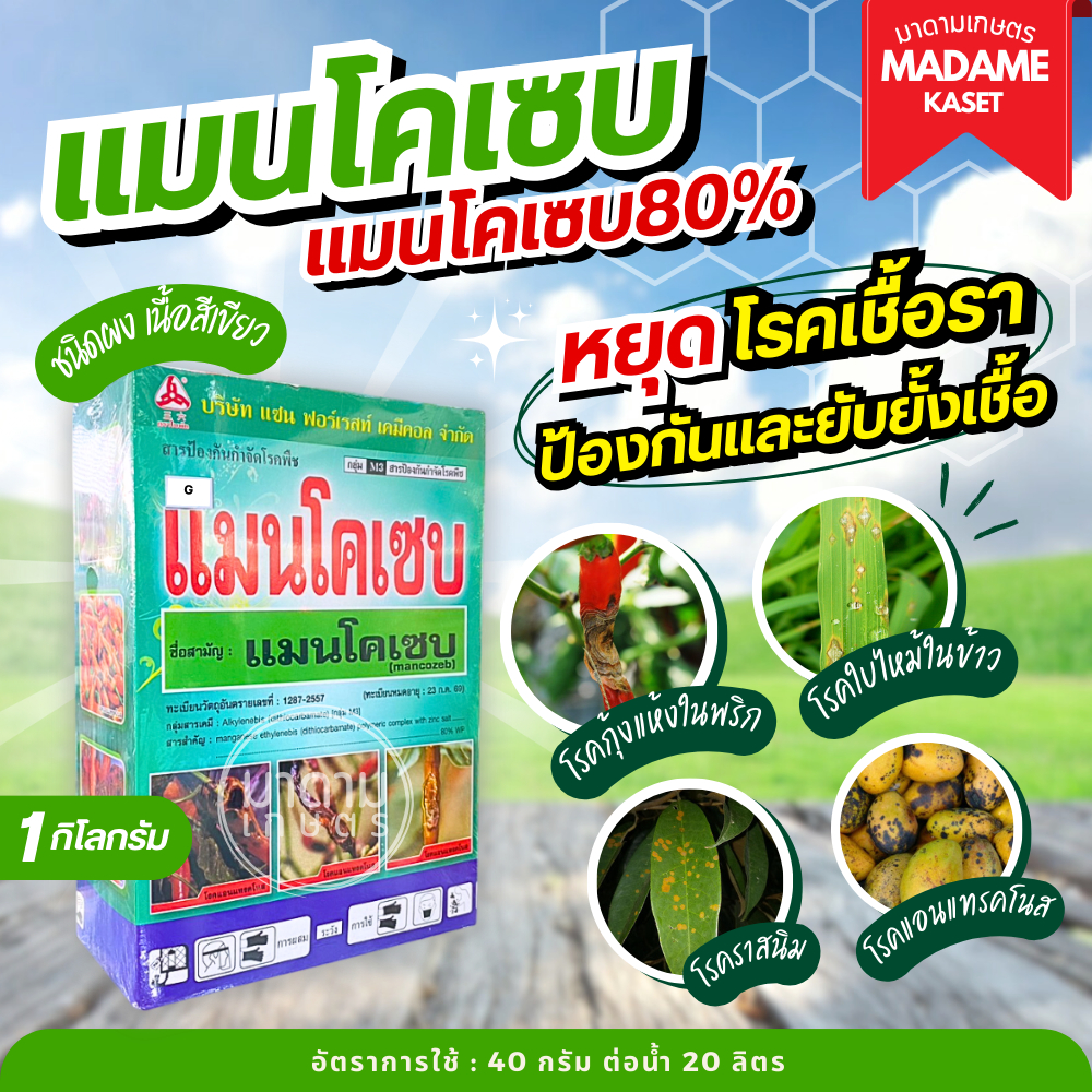 แมนโคเซบ 80%ป้องกันเชื้อราใบไหม้และใบจุด โรคแอนแทรคโนส ราสนิม ราน้ำค้าง โรคกุ้งแห้งในพริก 1 กิโลกรัม (เนื้อสีเขียว)