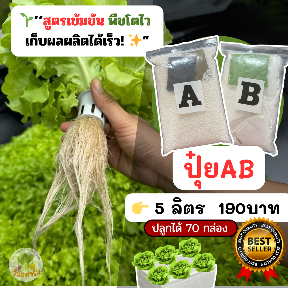 ปุ๋ยเอบี ไฮโดรโปนิกส์ A+B รวม 10 ลิตร | ปลูกผักไม่ต้องพึ่งสารเคมี ปุ๋ยน้ำสำหรับไฮโดรโปนิกส์/ปลูกในดิ