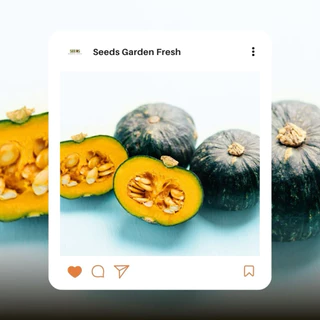 เมล็ดพันธุ์ฟักทองญี่ปุ่น บรรจุ 150 เมล็ด/ซอง [Seeds Garden Fresh]