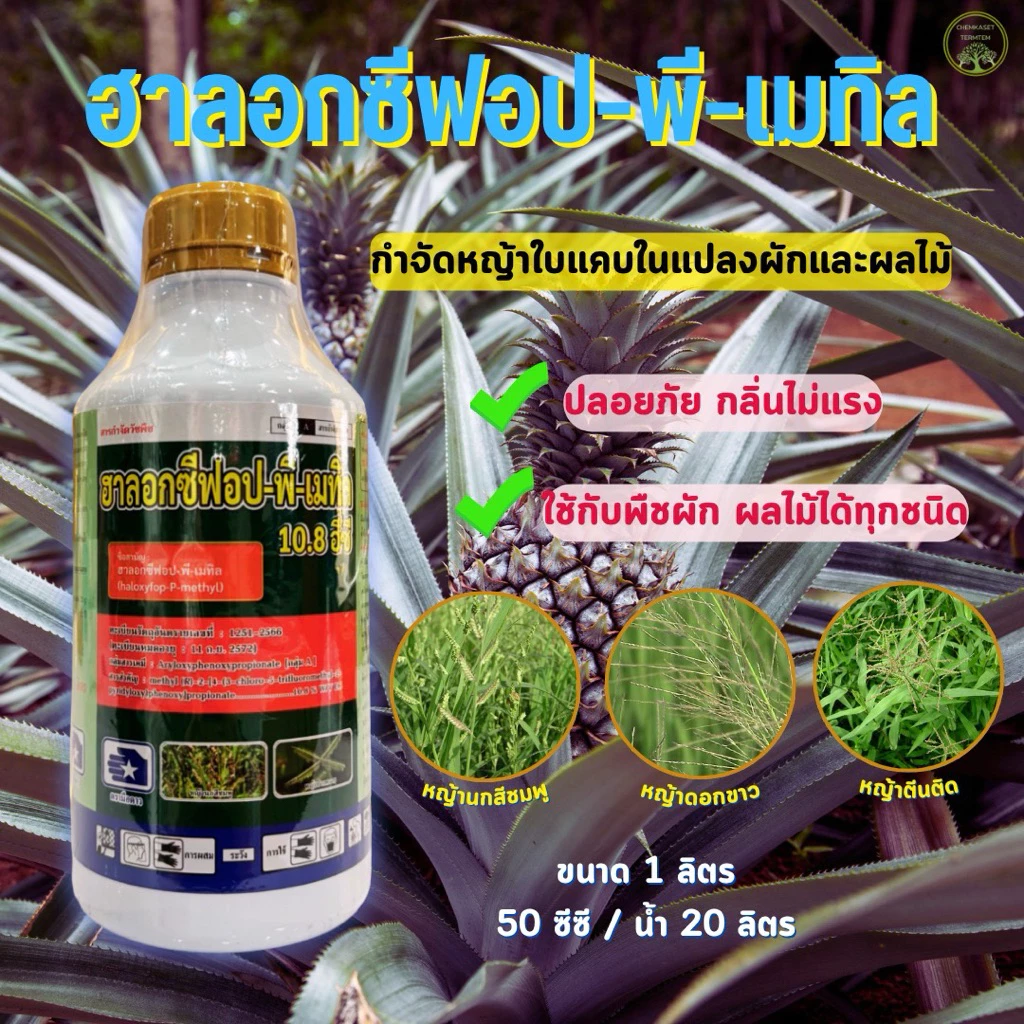 ฮาลอกซีฟอป-พี-เมทิล 1 ลิตร เพื่อกำจัดวัชพืชประเภทใบแคบ เช่น หญ้านกสีชมพู หญ้าดอกขาว และ หญ้าตีนติด