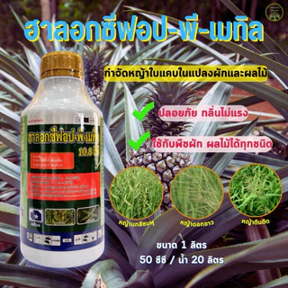 ฮาลอกซีฟอป-พี-เมทิล 1 ลิตร เพื่อกำจัดวัชพืชประเภทใบแคบ เช่น หญ้านกสีชมพู หญ้าดอกขาว และ หญ้าตีนติด