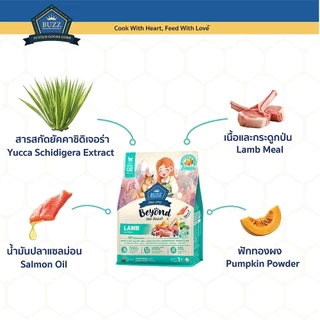 Buzz Beyond - อาหารแมว บัซซ์ บียอนด์ กลูเตนฟรี ลูกแมวแและแมวโต ทุกสายพันธุ์ 1 kg