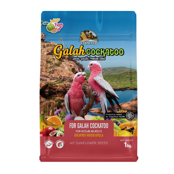 FARMLAND GALAH COCKATOO