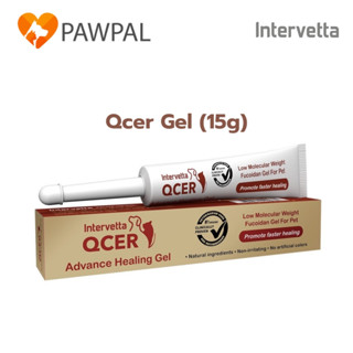 Qcer Advance Healing Gel 15 g🔥Exp.8/2026 คิวเซอร์เจล ทาแผล ก…
