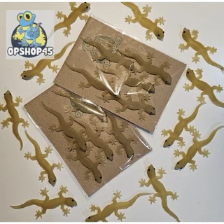 จิ้งจกปลอมจากยางพารา S2 🦎🦎🦎🦎🦎