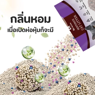 【PETStar1】🥇ทรายแมวเบนโทไนท์ ดูดซับดี ไร้กลิ่น ไม่มีฝุ่น🥇ลดฝุ่น 99% - ทรายแมวคุณภาพพรีเมี่ยม ปลอดภัยต่อระบบทางเดินหาย