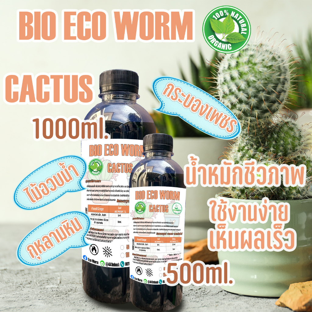 ปุ๋ย Cactus แคคตัส(cactus fertilizer)🌵กระบองเพชร🌵 ไม้อวบน้ำ เพิ่มหัว เร่งดอก ใช้งานง่ายเห็นผลชัดเจน
