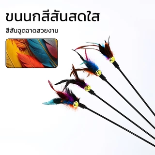 [🚚พร้อมส่ง]ไม้ล่อแมว ของเล่นแมว ไม้ตกแมว แบบโค้ง ปลายขนไก่ ขนนกหลายสี มีกระดิ่ง ไม้ตกแมวแบบสปริง