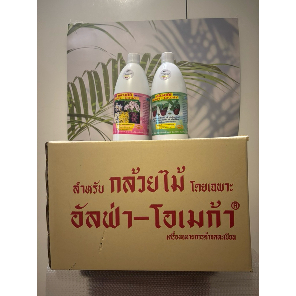 อัลฟ่าโอเมก้า ขายส่งยกลัง12ขวดใหญ่(ขวด1ลิตร) เร่งดอกเร่งใบ ฟื้นฟูลำต้นใบราก