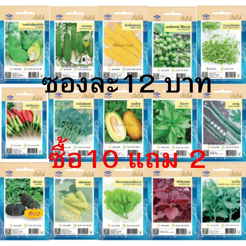 รูปภาพ 6