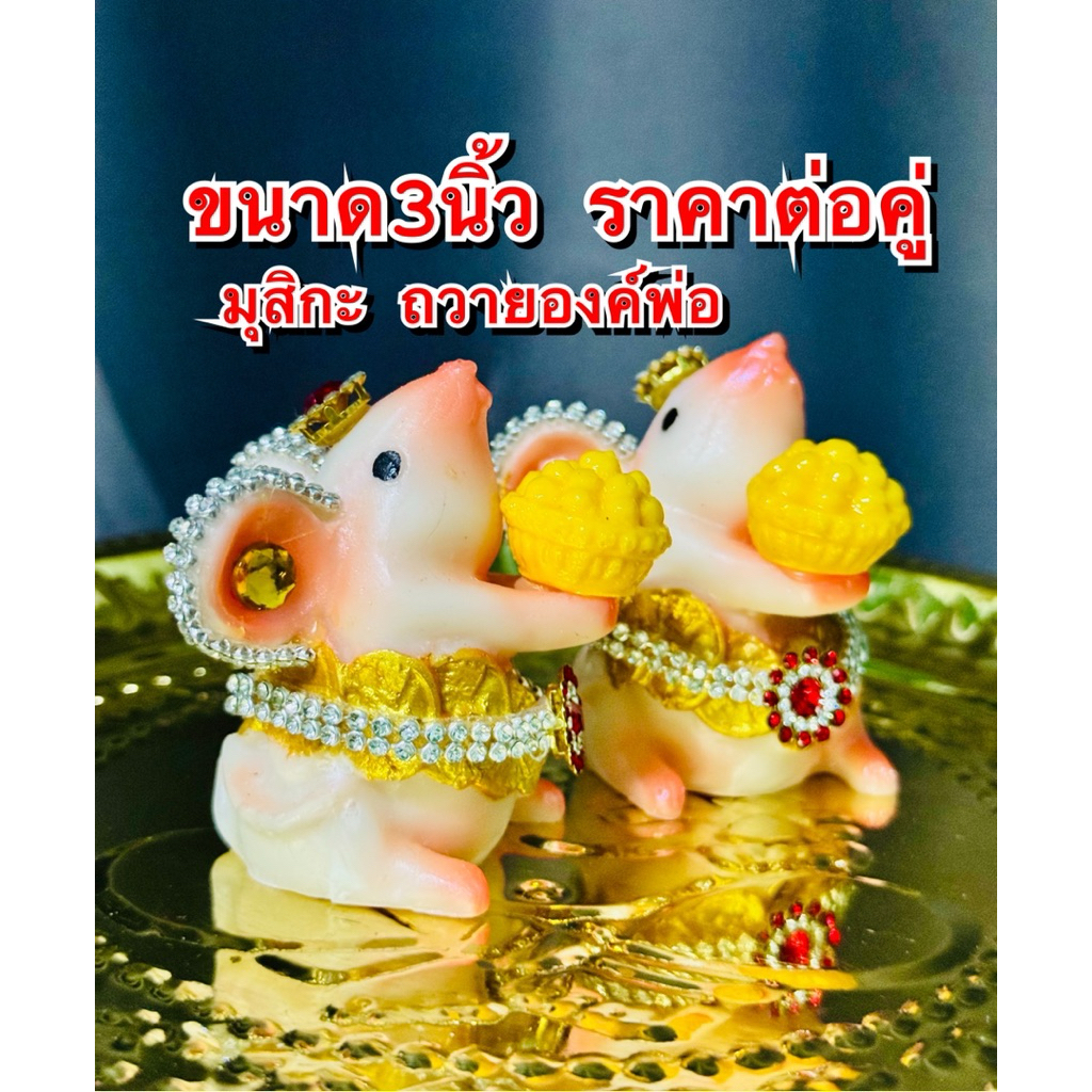 ส่งด่วน หนูมุสิกะ ขาวอมโรส ถวายลาดู หนูมุสิกะถวายพระพิฆเนศ หนู พระพิฆเนศ
