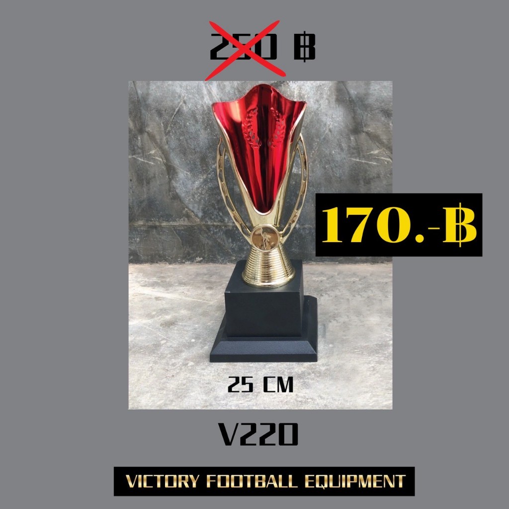 ถ้วยรางวัลSL040/25cm