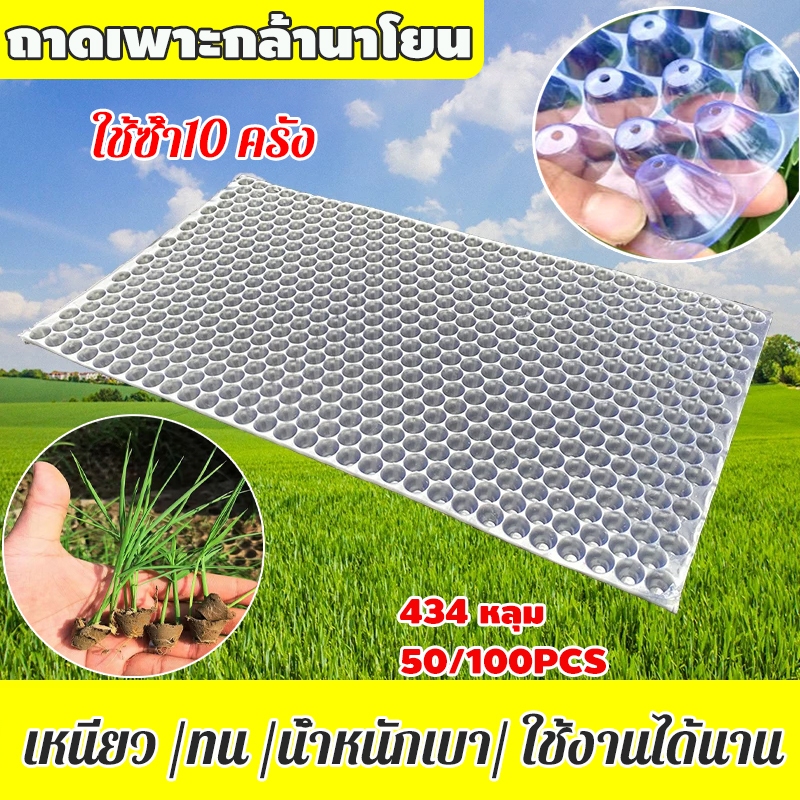 ถาดเพาะกล้านาโยน ถาดเพาะชำต้นกล้า เพาะข้าว ต้นอ่อน เมล็ด ป้องกันโรครากเน่า เหนียว ทนทาน 434 หลุม 50/100แผ่น ใช้ซ้ำ10 ครั