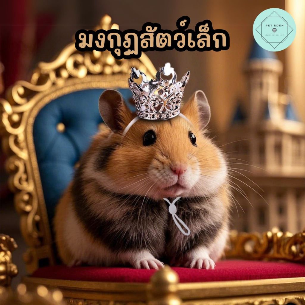 มงกุฏสัตว์เล็ก กระต่าย ชินชิล่า หนู Small เครื่องหัวสัตว์เล็ก ฟันแทะ โลหะผสม อัลลอย