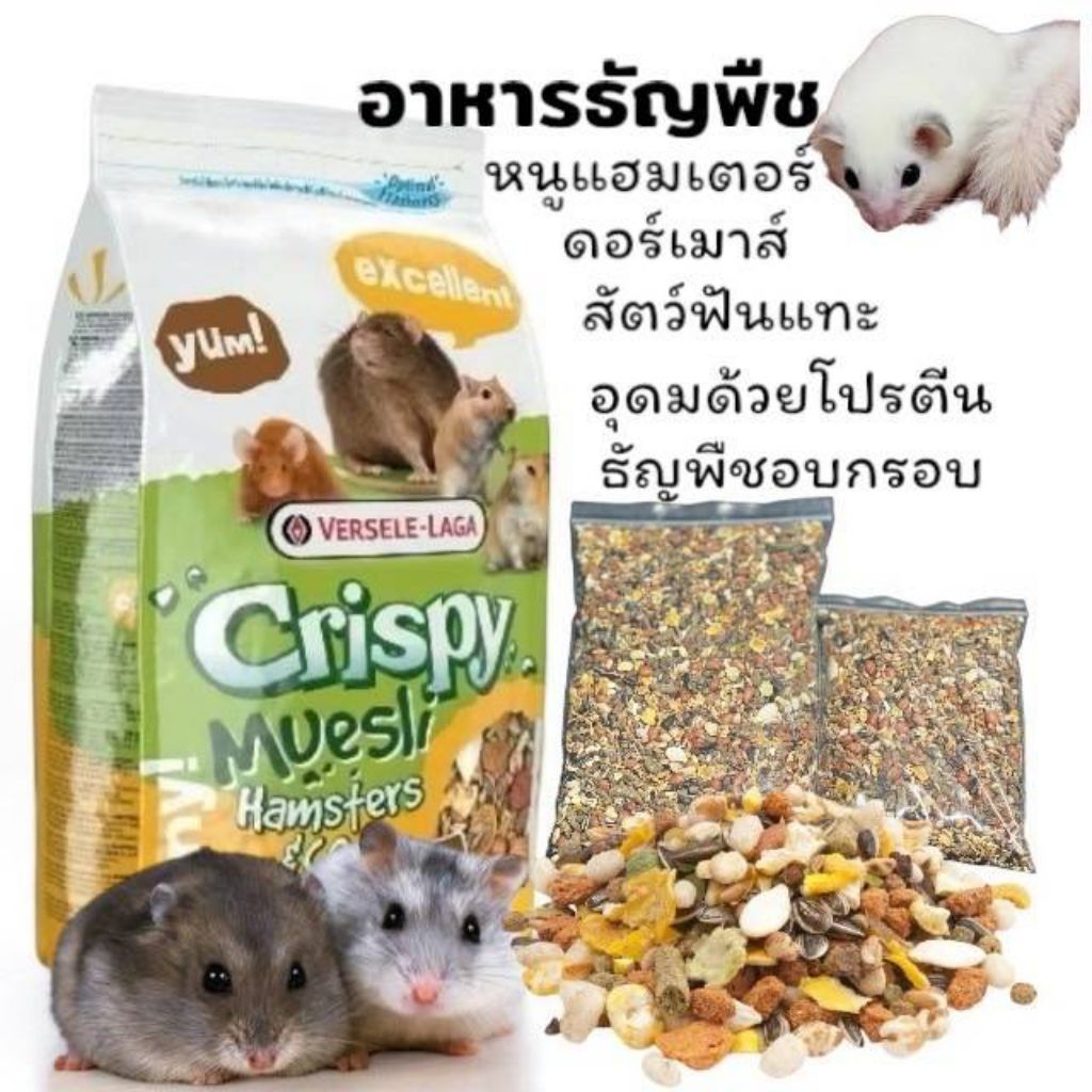 crispy muesli อาหารแฮมเตอร์ อาหารหนู กระรอกจิ๋ว ดอร์เมาส์ แบบแบ่ง ใส่ถุงซิบล็อก