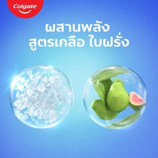 Colgate คอลเกต ยาสีฟัน สูตรเกลือ ใบฝรั่ง 100/150 ก. แพ็คคู่/เดี่ยว