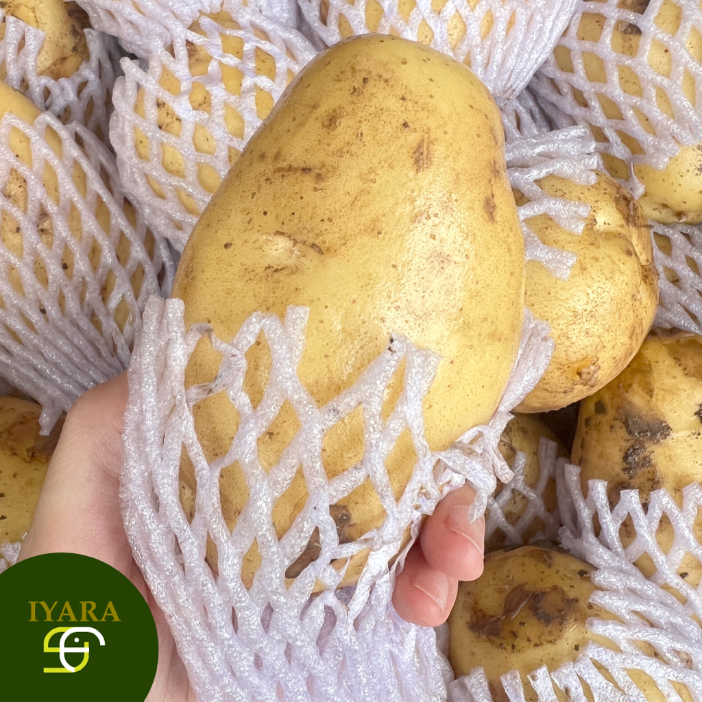 🥔 มันฝรั่งสด มันฝรั่งนอก ลูกใหญ่ ยกกล่อง9.5-10กิโลกรัม 🥔