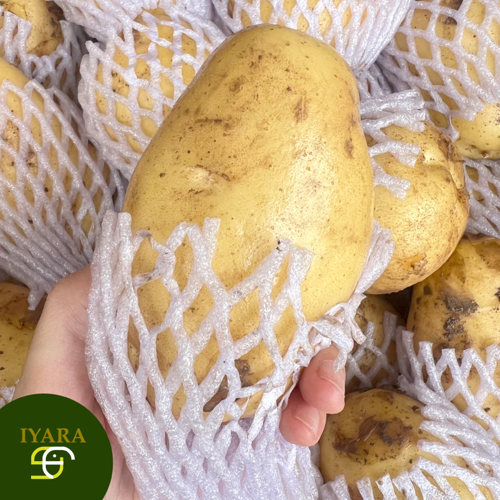 🥔 มันฝรั่งสด มันฝรั่งนอก ลูกใหญ่ ยกกล่อง9.5-10กิโลกรัม 🥔