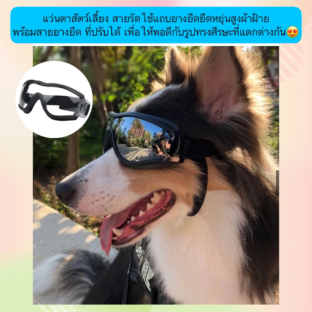 PP-1380 แว่นตาสัตว์เลี้ยงสุดคิ้วท์ พร้อมสายรัดยางยืด ปรับกระชับได้