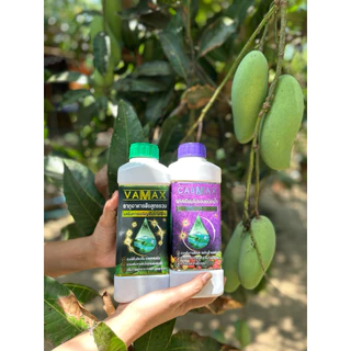 โปรสุดคุ้มชุด 6 แถม 6 แถมเสื้อปุ๋ยฟรี (ปุ๋ยธาตุรวม VAMAX + CABMAXแคลเซียมโบรอน) ปลอดภัยขึ้นทะเบียนอย่างถูกต้อง