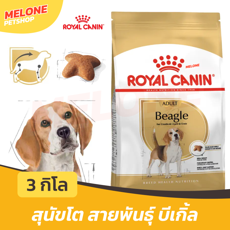 Royal Canin Beagle Adult อาหารสุนัข รอยัลคานิน สุนัขโต พันธุ์ บีเกิ้ล บีเกิล อายุ 12 เดือนขึ้นไป ขนาด 3 kg
