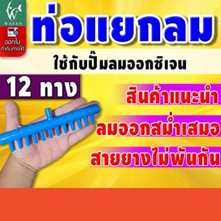 ท่อแยกลมพลาสติกสีน้ำเงิน 12 ทาง ท่อแยกลมต่อกับปั๊มลมเพื่อกระ…