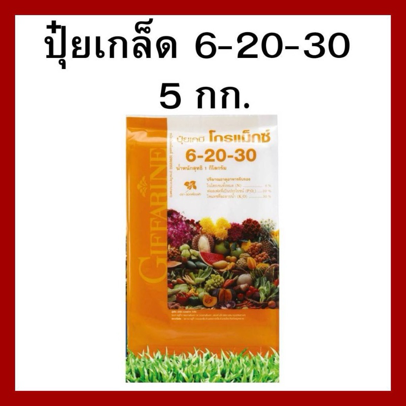 ปุ๋ยกิฟฟารีน ปุ๋ยโกรแม็กซ์ สูตร-6-20-30-ปริมาณ5กิโลกรัม