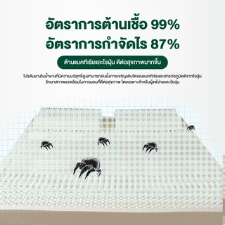 ที่นอนยางพาราแท้ 100% ยางฉีดไม่ใช่ยางอัด รุ่น เพื่อสุขภาพ ฉีดขึ้นรูป ผลิตในไทย รุ่น 2-3 นิ้ว