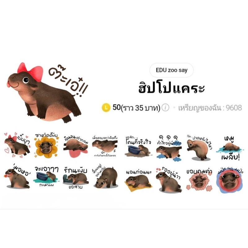 🦛 สติกเกอร์ไลน์ ฮิปโป ฮิปโปแคระ หมูตุ๋น ขาหมู หมูเด้ง คุณแฟลช แอนด์เดอะแก๊ง พร้อมส่ง ใช้ได้ถาวร