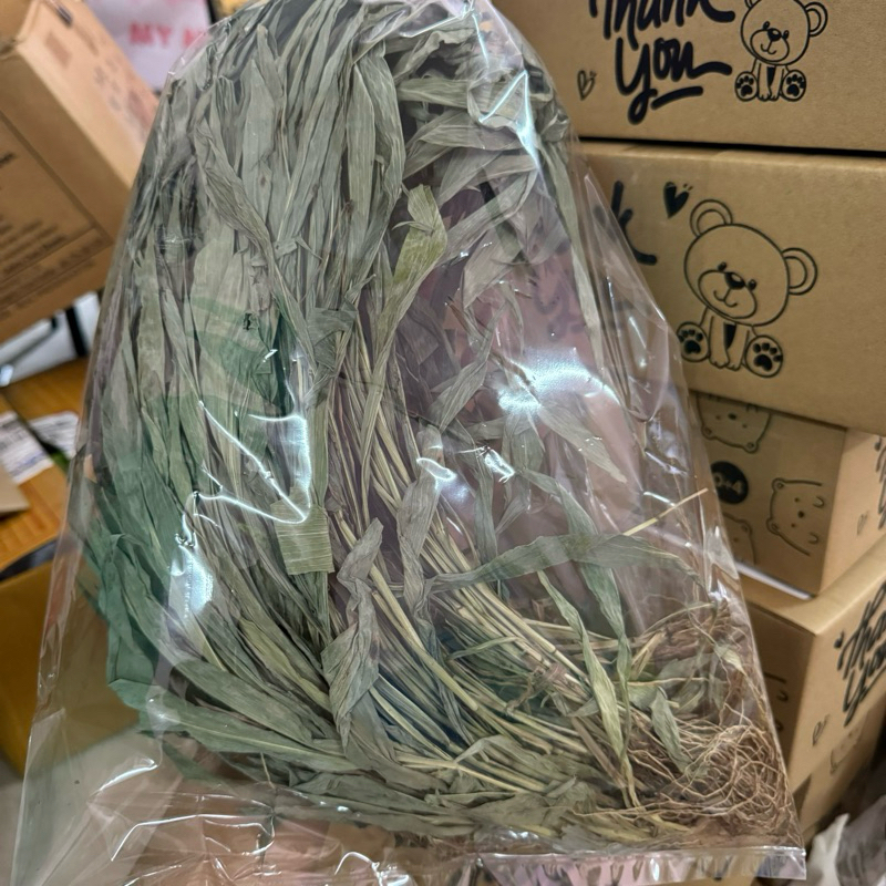 หญ้ารีแพร์ หญ้าฮี๋ยุ้ม ออร์แกนิค สวยจากธรรมชาติ พร้อมส่ง