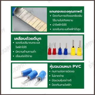 🇹🇭 ส่งเร็วจากไทย! [50 ตัว] DBV หางปลาตรง หางปลาย้ำสายแบบตรง ขนาด 1.25, 2, 5.5
