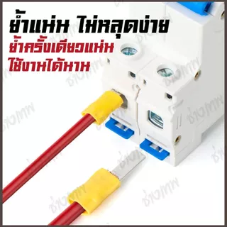 🇹🇭 ส่งเร็วจากไทย! [50 ตัว] DBV หางปลาตรง หางปลาย้ำสายแบบตรง ขนาด 1.25, 2, 5.5