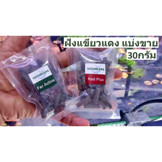 Fer Active สารอาหารแบบเม็ดสำหรับไม้เขียว 30g ร้านปาร์ค ไม้น้ำ พร้อมส่ง