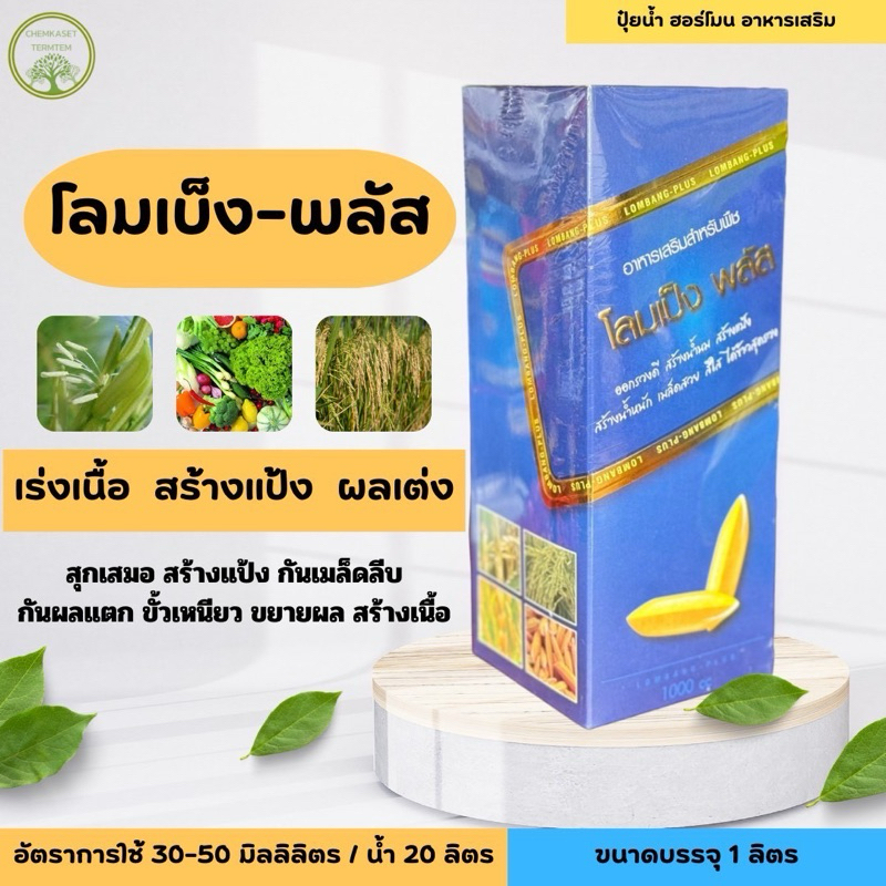 โลมเบ่ง-พลัส 1ลิตร (อาหารเสริมสูตรพิเศษ)เมล็ดแน่น สร้างแป้ง เพิ่มน้ำหนัก ช่วยให้ข้างออกรวงสม่ำเสมอ
