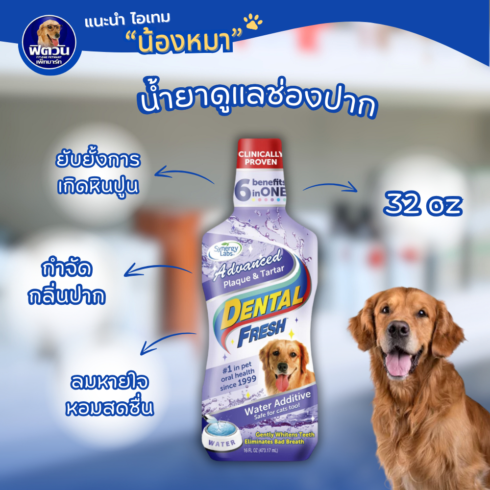 Dental Fresh Advance plaque and tartar 32Oz ผลิตภัณฑ์ขจัดกลิ่นปาก สูตรยับยั้งการเกิดหินปูน