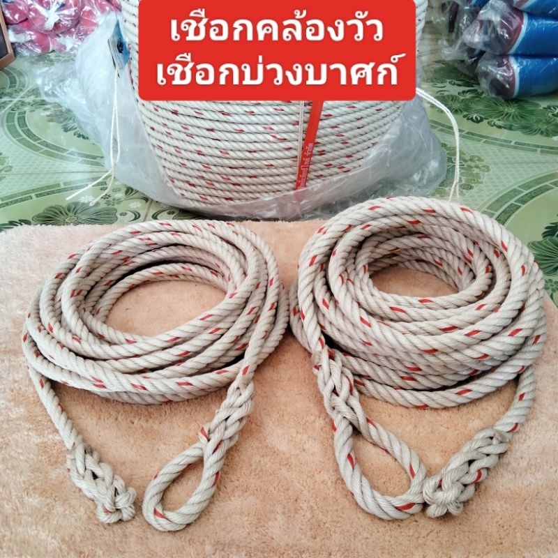 เชือกคล้องวัว เชือกบ่วงบาศก์ เชือกจับวัวควาย เชือกคาวบอย ถักบ่วงพร้อมใช้งาน ขนาดเชือก 12,14 มิล ความยาว 10 เมตร