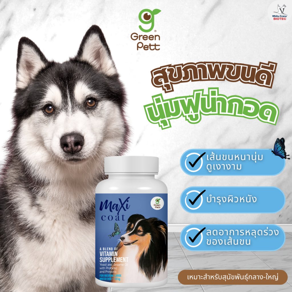 MaxiCoat ผลิตภัณฑ์เสริมอาหารบำรุงเส้นขนและผิวหนัง สำหรับสุนัขพันธุ์ใหญ่  ขนาด 100 กรัม