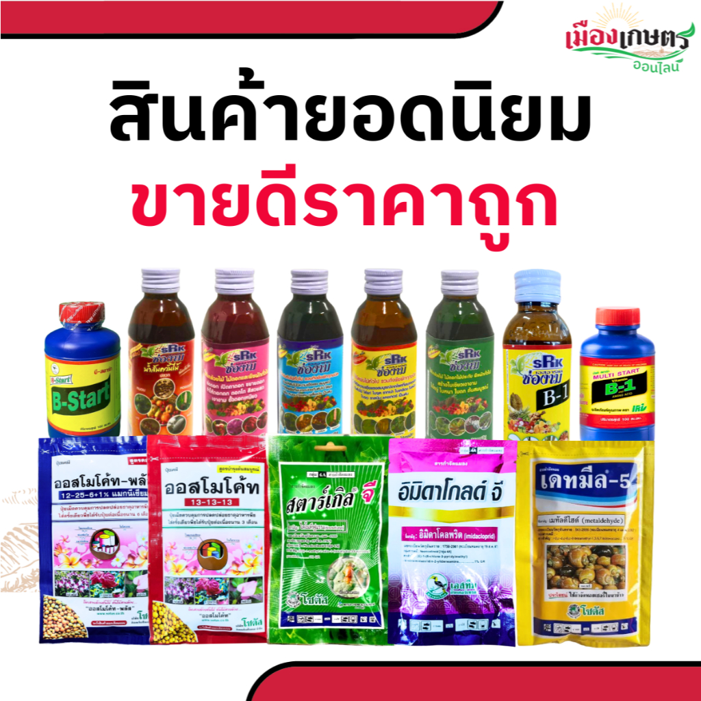 สินค้ายอดนิยม ออสโมโค้ท สตาร์เกิล จี อิมิดาโกลด์ จี บี 1 เดทมีล 5 แคปทาไซด์ ไตรโคเดอร์ม่า เมธาไรเซียม เซฟวิน ฟังกูราน เร