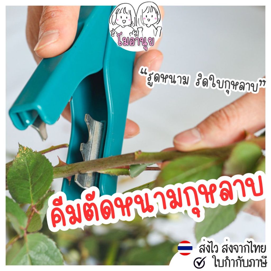 คีบตัดหนามกุหลาบ กรรไกรตัดหนามกุหลาบ ใช้ริดก้านใบ จัดช่อดอกไม้ อุปกรณ์ร้านดอกไม้ ที่รูดหนามกุหลาบ