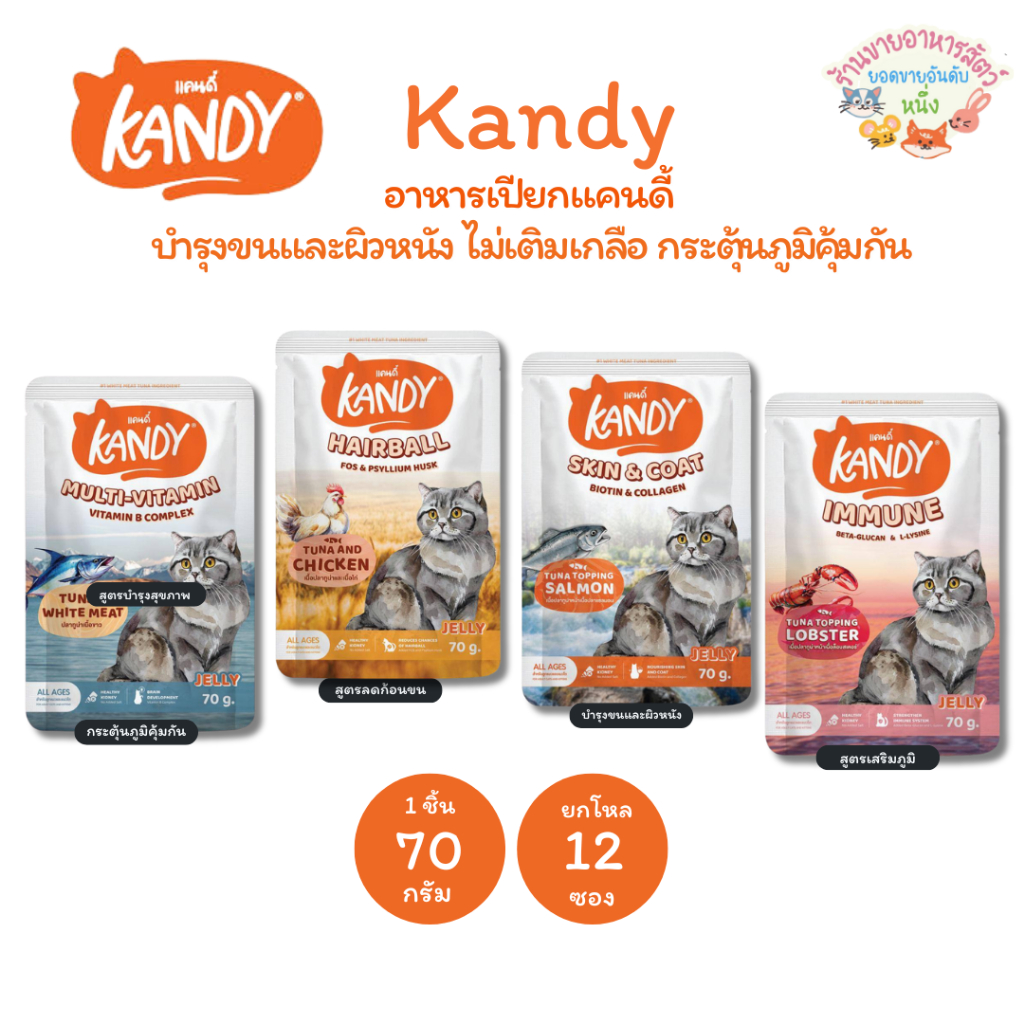 Kandy อาหารเปียกแคนดี้ Holistic Grain Free ทูน่าเนื้อขาว ไม่เติมเกลือ สูตรดูแลสุขภาพ ยกโหล 70g*12 ซอง