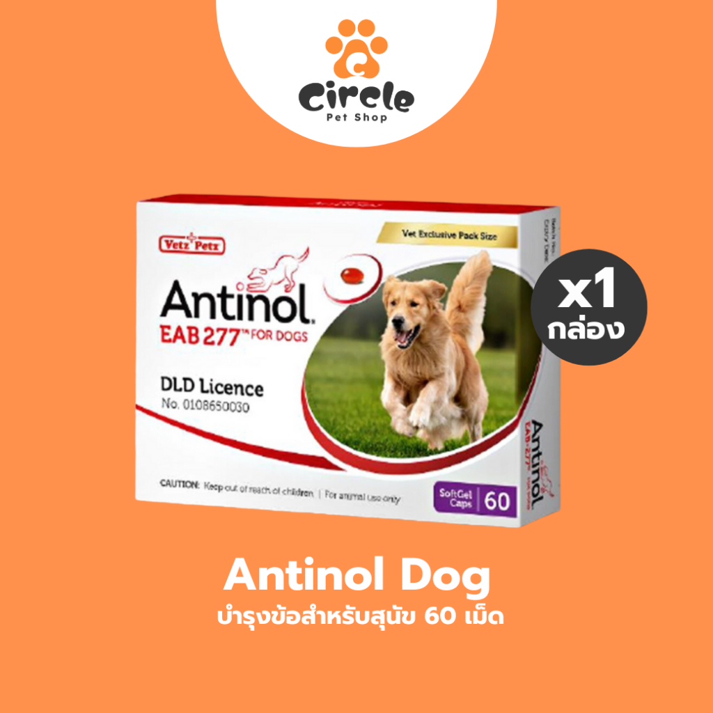{สินค้าขายดี][ 1 กล่อง ] Antinol Dog แอนทินอล อาหารเสริมไขมัน บำรุงข้อ สำหรับสุนัข 60 เม็ด