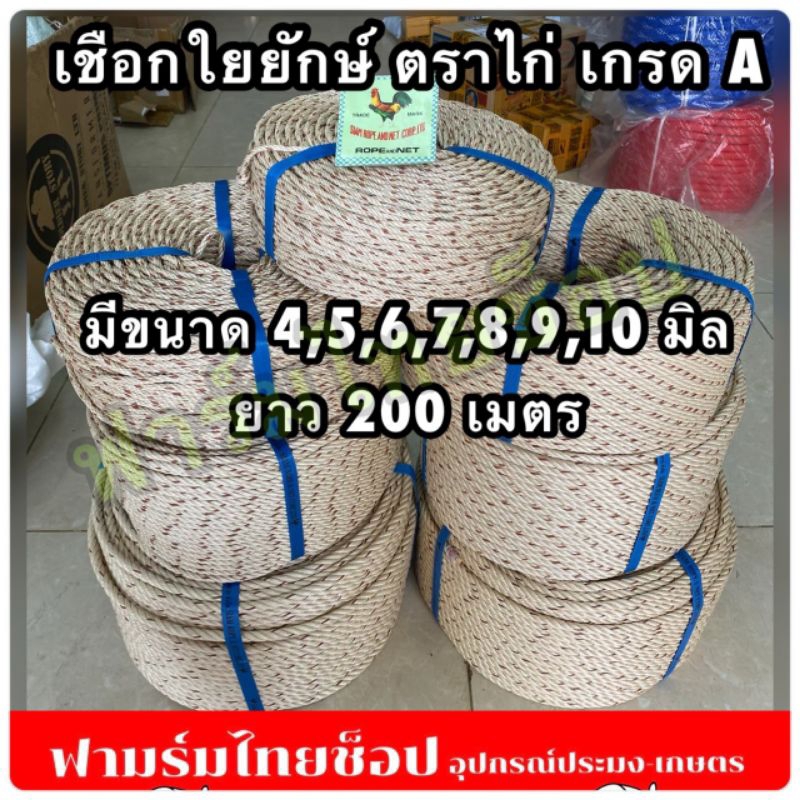 เชือกใยยักษ์ เกรดA ตราไก่ จำหน่ายเป็นม้วนใหญ่ ยาว 200 ม. มีขนาดให้เลือก 4,5,6,7,8,9 มิล สินค้าอยู่ในตัวเลือก