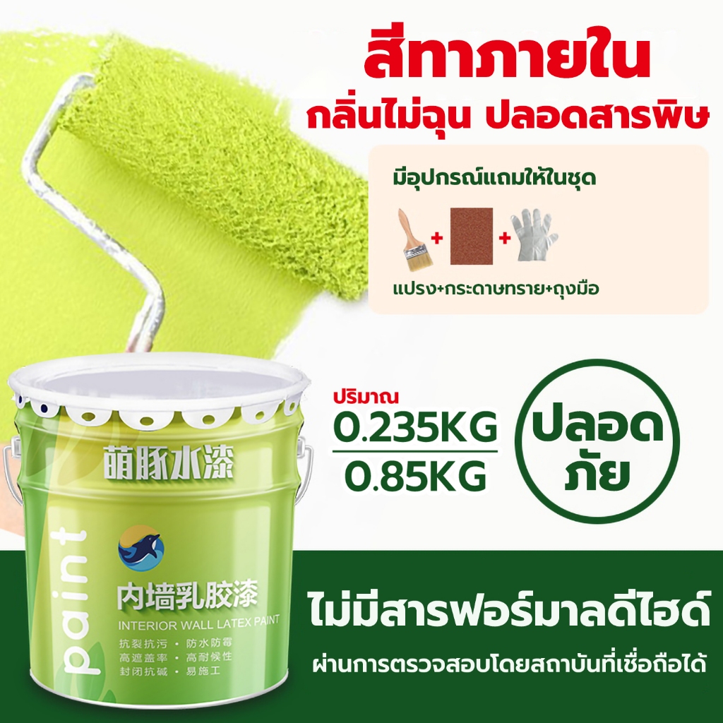 สีทาภายใน สีทาบ้าน ชนิดสีด้านขนาด 0.235kg/0.85kg พร้อมอุปกรณ์ครบชุด สีทาผนัง สีทาห้องนอน ปลอดสารพิษ