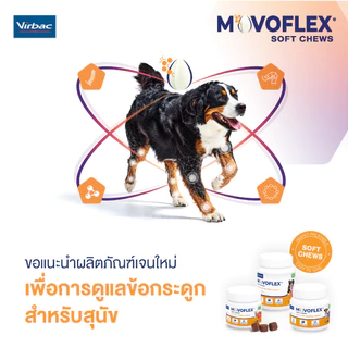 Virbac Movoflex L - ผลิตภัณฑ์ดูแลข้อต่อของสุนัข น้ำหนักมากกว่า 35 กก. ทุกวัย [โมโวเฟล็กซ์ - 30 เม็ด]
