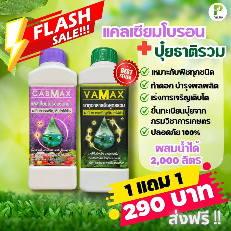 ปุ๋ยธาตุรวม VAMAX+CABMAXแคลเซียมโบรอน (โปร 1 แถม 1)