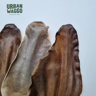 หูวัวอบแห้ง จากธรรมชาติ 100% ไม่ฟอกสี ไม่ใส่สารกันเสีย Dehydrated Cow Ear (whole) Urban waggo